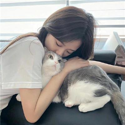 派特森与芬达猫:生日奇闻